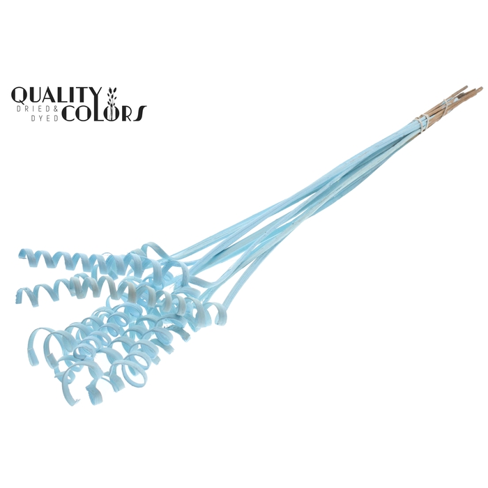 <h4>Cane Spring on stem Covered Light Blue</h4>