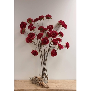 Cabbage Rosa Spray Fuchsia