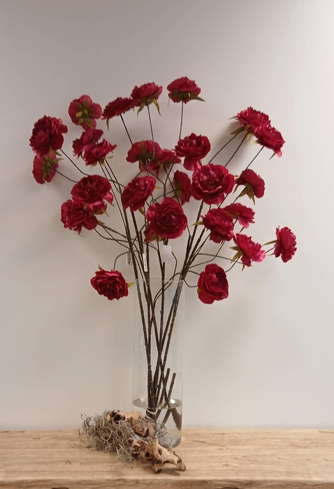 <h4>Cabbage Rosa Spray Fuchsia</h4>