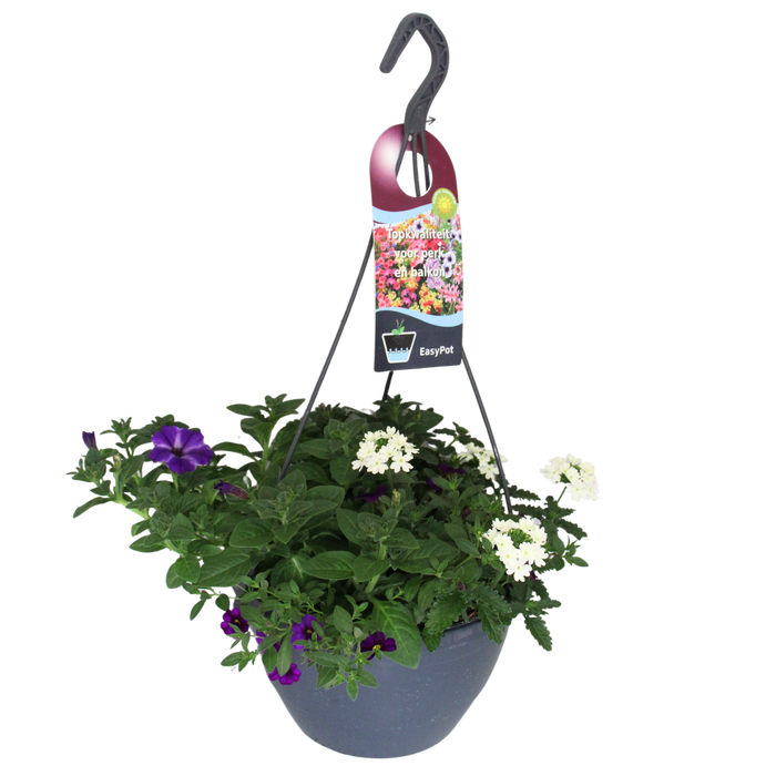 'Weekaanbieding; Hangpotten 27 waterreservoir Mix 09 Paars/witte mix