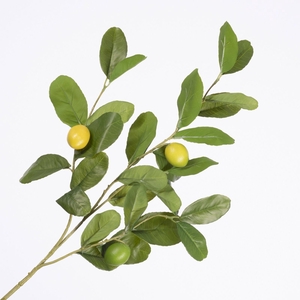 Lemon Spray Yellow Green LV330146YEL