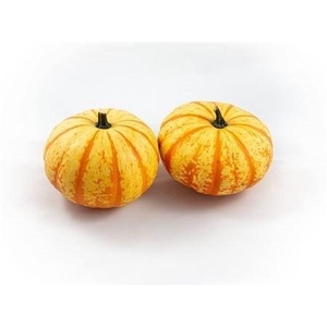 CUCURBITA PEPO