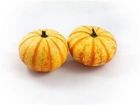<h4>CUCURBITA PEPO</h4>