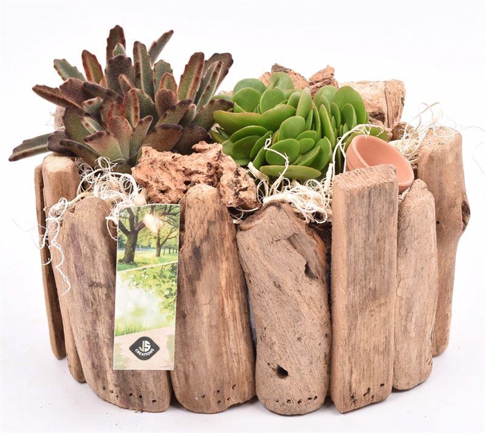 <h4>Druivenhout ovaal 21x14.5cm</h4>