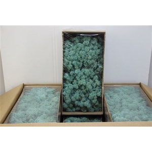 Mos Rendier Aquamarine Gepr 500gr