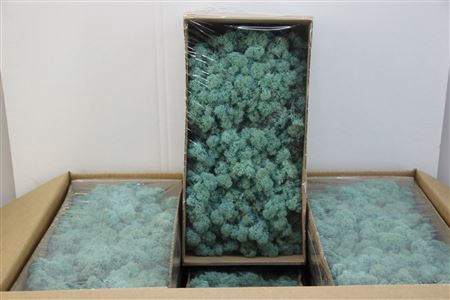 Mos Rendier Aquamarine Gepr 500gr