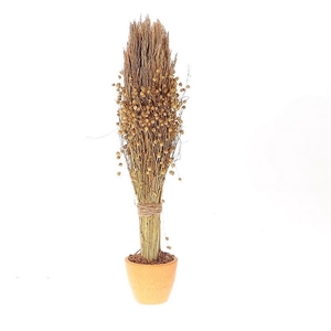 Dried flowers Pot Tissi nanal grass d12*53cm