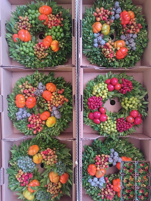 <h4>Sierfruit Krans H%</h4>