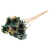 Shola Daisy Sunflower 6cm on stem Multicolour Green/Yellow