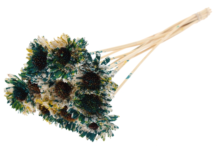 Shola Daisy Sunflower 6cm on stem Multicolour Green/Yellow