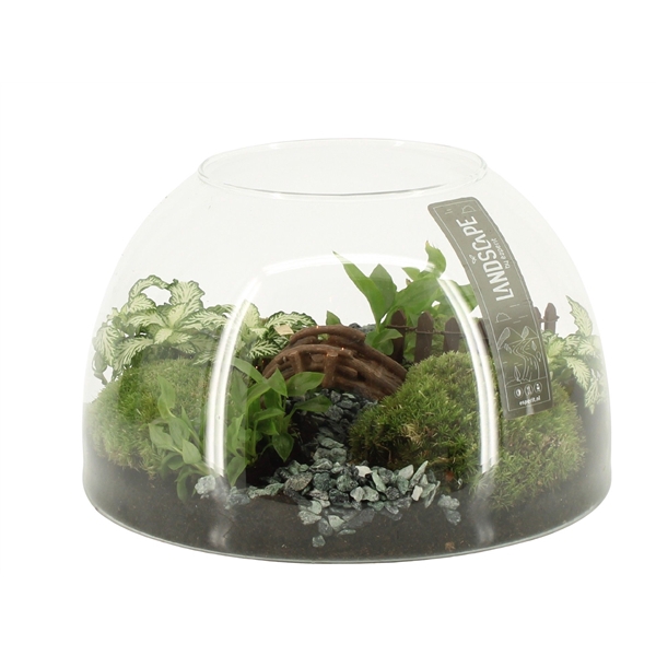 <h4>90824: Landscape arrangement</h4>