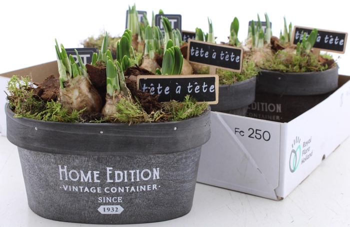 <h4>ARR N TETE A TETE</h4>