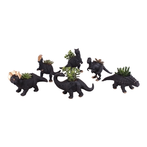 Yearround Indoor Special: Dinosaur mix ø26cm with 1PP