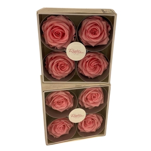 Arrangementen Potroos H%