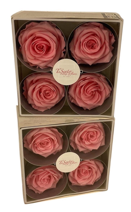 <h4>Arrangementen Potroos H%</h4>