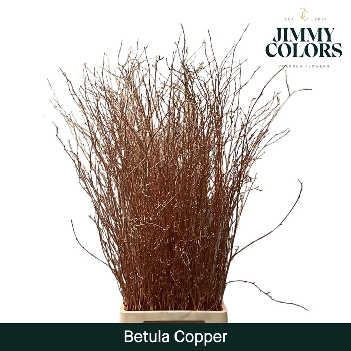 <h4>Betula L120 Mtlc. Copper</h4>