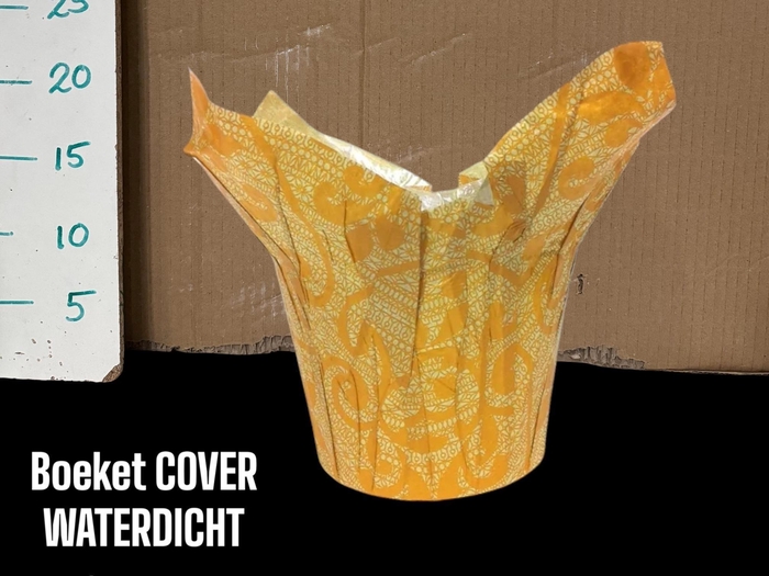 <h4>HUIS EN TUINDECO H%</h4>