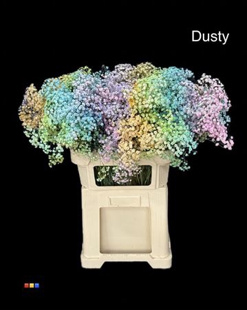 Gyps Xlence Dusty Rainbow