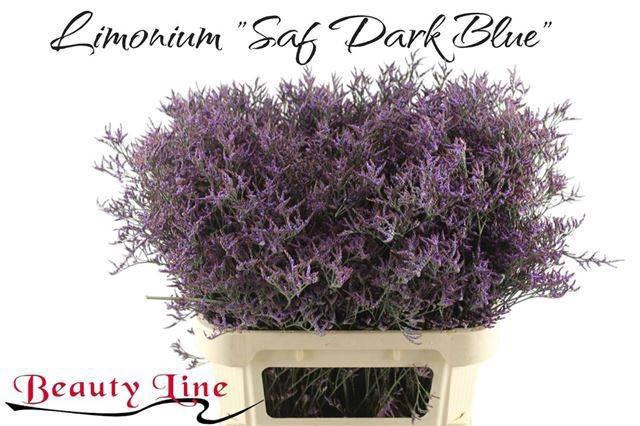 <h4>LIM SAF DARK BLUE</h4>