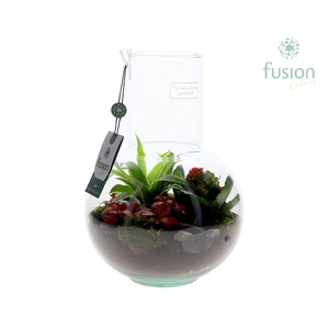 Green Bottle Suzanne Medium met arrangement