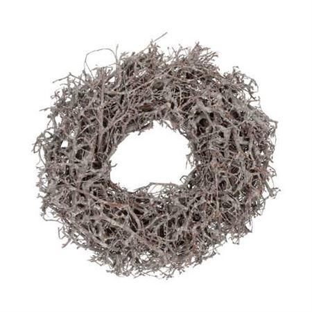 <h4>Wr Bonsai Wildly 60cm Frosted</h4>