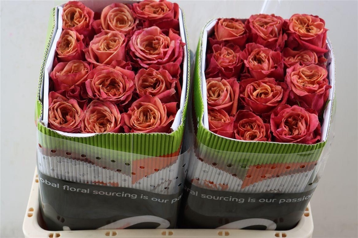 <h4>R Gr Coffee Love</h4>