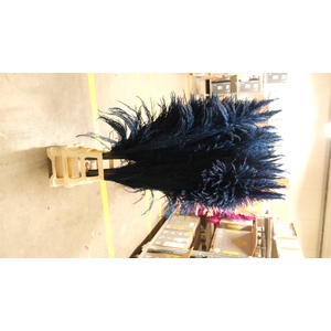 Dried Cortaderia Sacuara Indigo Blue