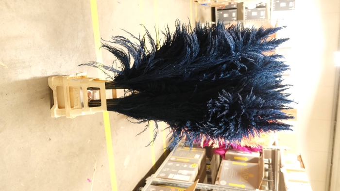 <h4>Dried Cortaderia Sacuara Indigo Blue</h4>