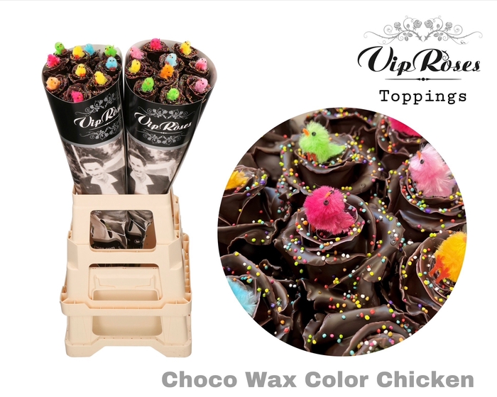 <h4>R GR CHOCO WAX COLOR CHICKEN</h4>