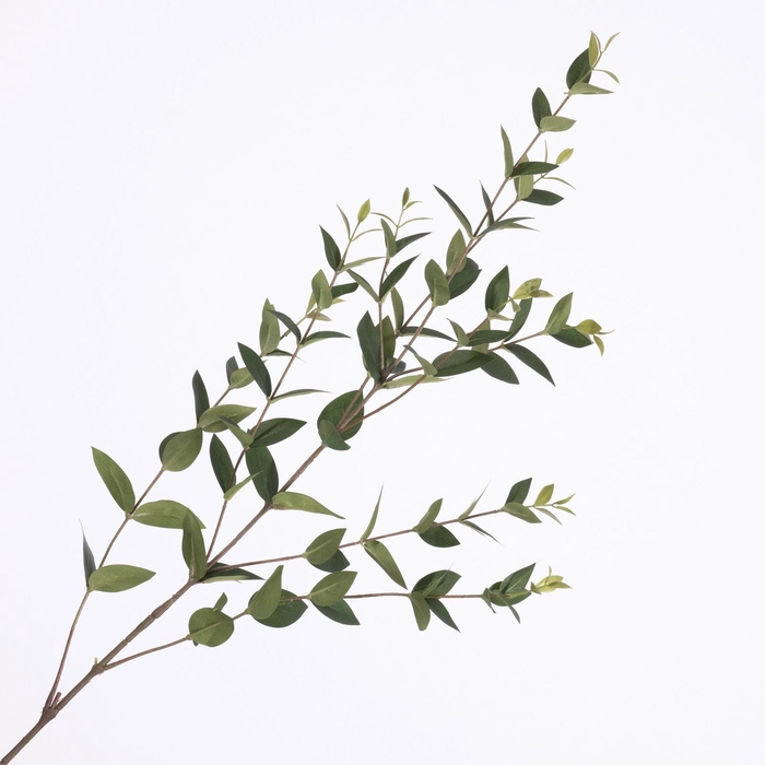 <h4>Ruscus Spray Green LV330117GRN</h4>