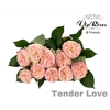 R GR TENDER LOVE