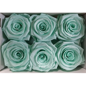 Ro Pres Classic Green Mint