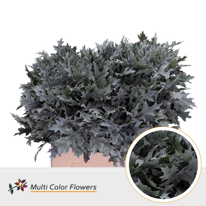 <h4>Eik Fijn (60 cm) Frost wit</h4>