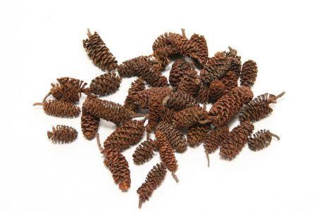 Pinecone Birch 300g