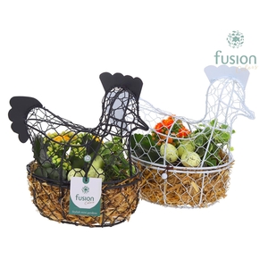 Kip gaas 5 kleuren Pasen met arrangement