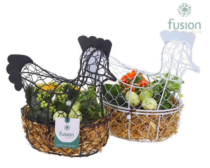 <h4>Kip gaas 5 kleuren Pasen met arrangement</h4>