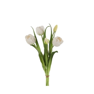 Tulipa boeket 43cm x5