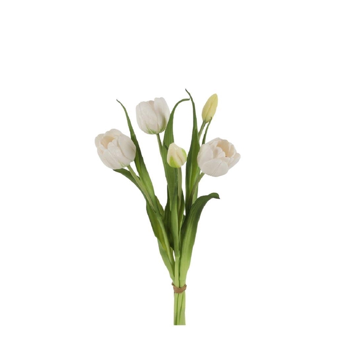 <h4>Tulipa boeket 43cm x5</h4>