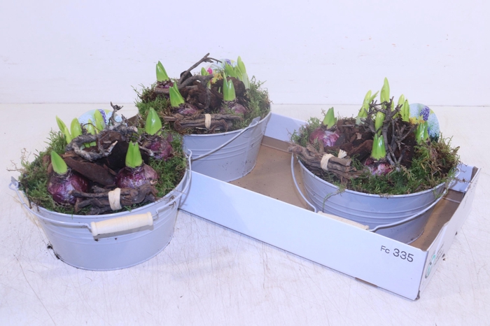 <h4>ARR BOL KNOLGEWAS</h4>