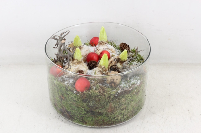 <h4>arr4 Hyacint PL - Glas cilin. L x2</h4>