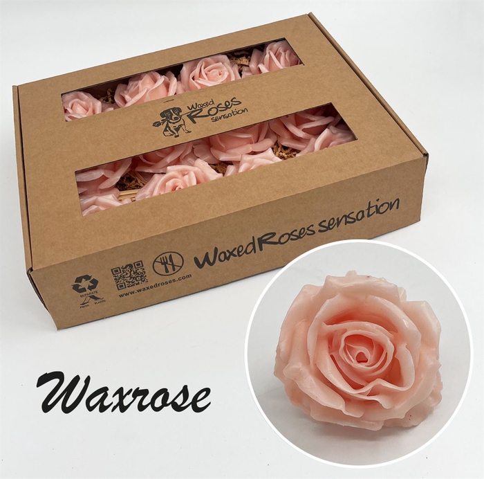 <h4>Zijde R Wx Oceana</h4>