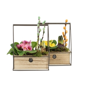 11675: Outdoor spring arrangement