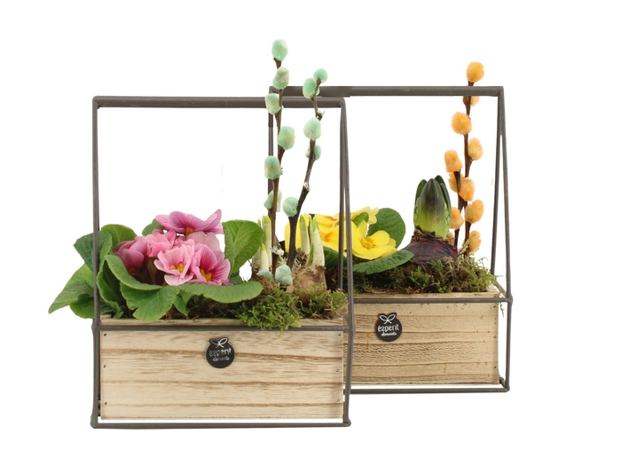 <h4>11675: Outdoor spring arrangement</h4>