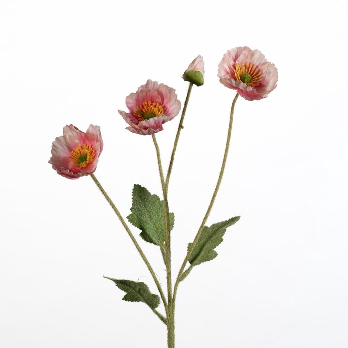<h4>AF Papaver spr/4 flL60cm pi</h4>