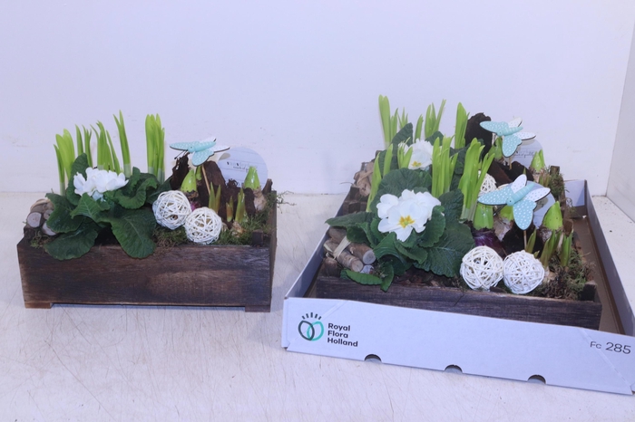 <h4>ARR TUINPLANTEN</h4>