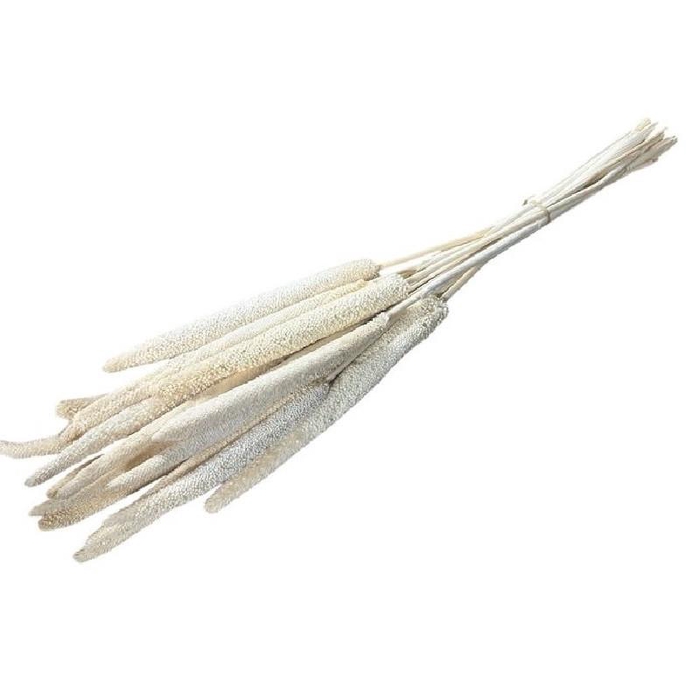 <h4>Dried flowers Babala 70cm x15</h4>