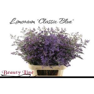 LIM SAF CLASSIC BLUE