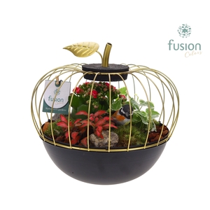 Appel metaal zwart Large met Arrangement