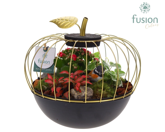 <h4>Metaal appel zwart Large met Arrangement</h4>