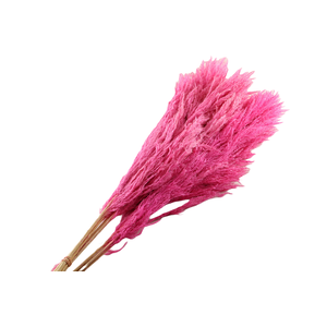 Sacuara Cerise